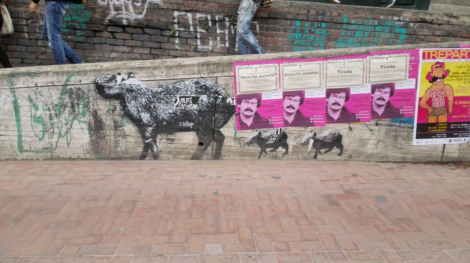 CAMAPAÑA DE AFICHES OWC (1)